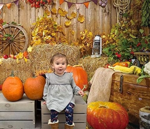 TŁO WINYLOWE FOTOGRAFICZNE 2,1x1,5m JESIEŃ DYNIE POKÓJ SIANO DREWNO LIŚCIE TŁO WINYLOWE FOTOGRAFICZNE 2,1x1,5m JESIEŃ DYNIE POKÓJ SIANO DREWNO LIŚCIE