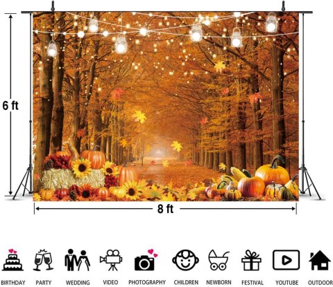 TŁO WINYLOWE FOTOGRAFICZNE 2,4x1,8m JESIEŃ DYNIE PARK DRZEWA LIŚCIE ŚWIATŁA