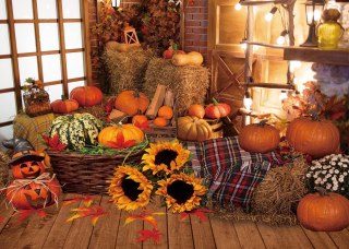 TŁO WINYLOWE FOTOGRAFICZNE 2,1x1,5m JESIEŃ DYNIE HALLOWEEN POKÓJ