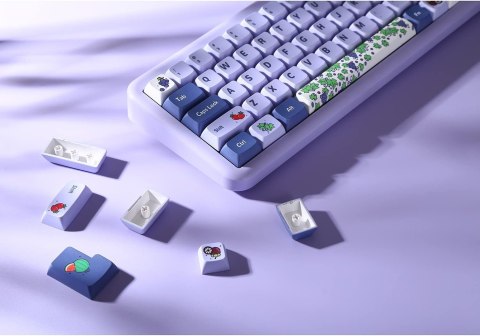 NAKŁADKI NA KLAWISZE KLAWIATURA MECHANICZNA KEYCAPS 104+24 FIOLETOWE OWOCE NAKŁADKI NA KLAWISZE KLAWIATURA MECHANICZNA KEYCAPS 104+24 FIOLETOWE OWOCE