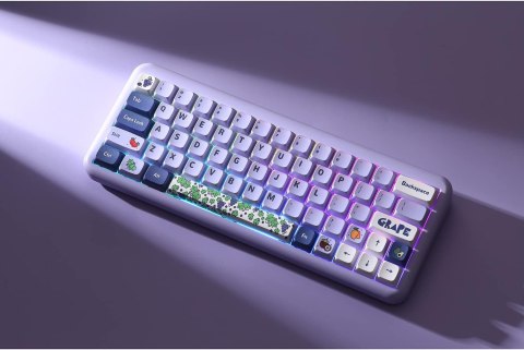 NAKŁADKI NA KLAWISZE KLAWIATURA MECHANICZNA KEYCAPS 104+24 FIOLETOWE OWOCE NAKŁADKI NA KLAWISZE KLAWIATURA MECHANICZNA KEYCAPS 104+24 FIOLETOWE OWOCE