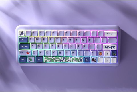 NAKŁADKI NA KLAWISZE KLAWIATURA MECHANICZNA KEYCAPS 104+24 FIOLETOWE OWOCE NAKŁADKI NA KLAWISZE KLAWIATURA MECHANICZNA KEYCAPS 104+24 FIOLETOWE OWOCE
