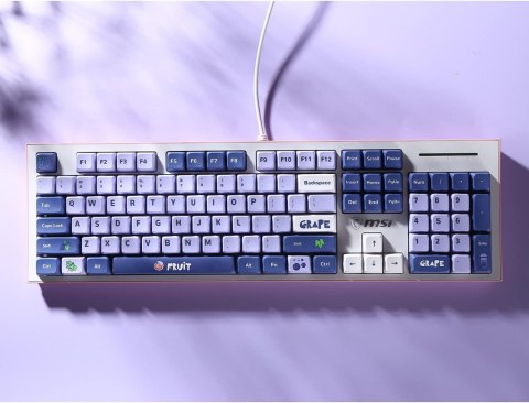 NAKŁADKI NA KLAWISZE KLAWIATURA MECHANICZNA KEYCAPS 104+24 FIOLETOWE OWOCE NAKŁADKI NA KLAWISZE KLAWIATURA MECHANICZNA KEYCAPS 104+24 FIOLETOWE OWOCE