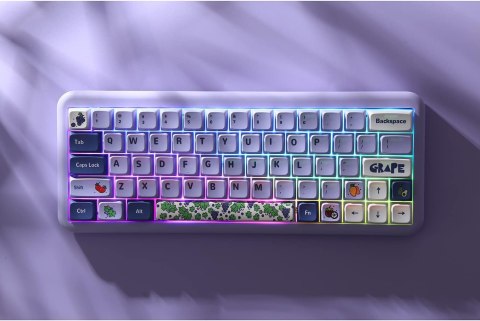 NAKŁADKI NA KLAWISZE KLAWIATURA MECHANICZNA KEYCAPS 104+24 FIOLETOWE OWOCE NAKŁADKI NA KLAWISZE KLAWIATURA MECHANICZNA KEYCAPS 104+24 FIOLETOWE OWOCE