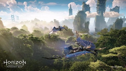 GRA NA PS5 HORIZON FORBIDDEN WEST SONY PLAYSTATION 5 BOX GRA NA PS5 HORIZON FORBIDDEN WEST SONY PLAYSTATION 5 BOX