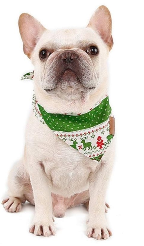 CHUSTA BOŻE NARODZENIE BANDANA DLA PSA ŚWIĄTECZNA RENIFERY ZIELONA CHUSTA BOŻE NARODZENIE BANDANA DLA PSA ŚWIĄTECZNA RENIFERY ZIELONA